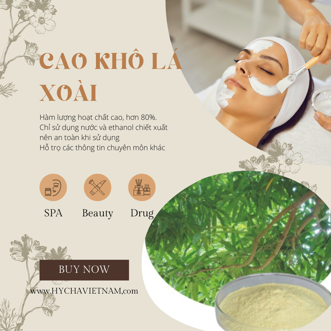 Dịch chiết mangiferin từ lá Xoài