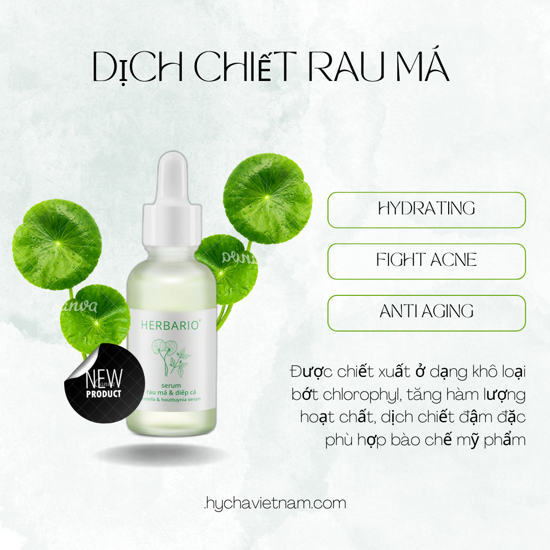 Dịch chiết rau má